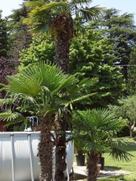 Relais Villa Lezard Colà Cameră foto